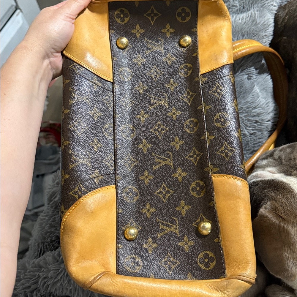 Louis Vuitton Classic Brown Satchel - Picture 16 of 17